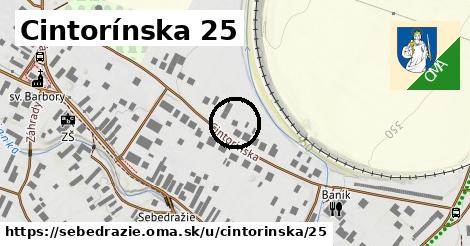 Cintorínska 25, Sebedražie