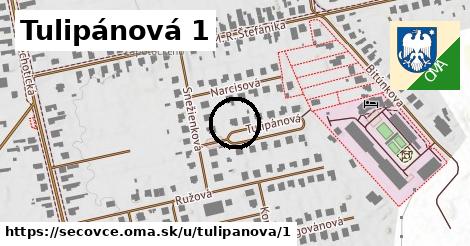 Tulipánová 1, Sečovce