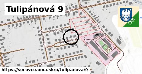 Tulipánová 9, Sečovce