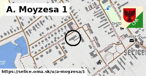 A. Moyzesa 1, Selice