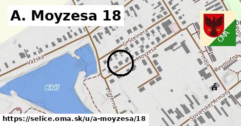 A. Moyzesa 18, Selice