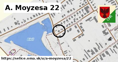 A. Moyzesa 22, Selice