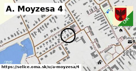 A. Moyzesa 4, Selice