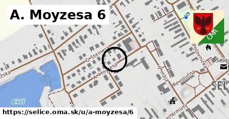 A. Moyzesa 6, Selice