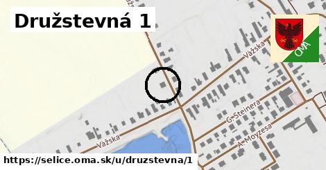 Družstevná 1, Selice