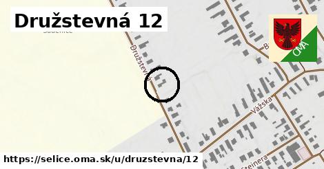 Družstevná 12, Selice