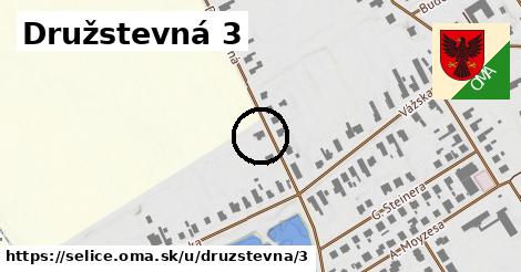 Družstevná 3, Selice