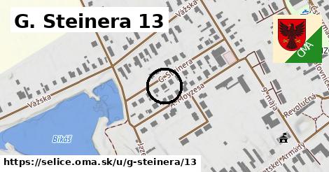 G. Steinera 13, Selice