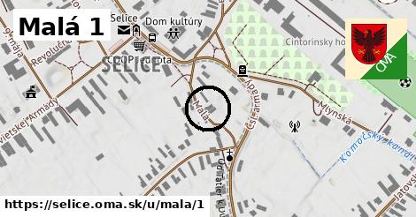 Malá 1, Selice