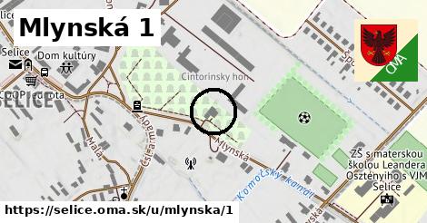 Mlynská 1, Selice