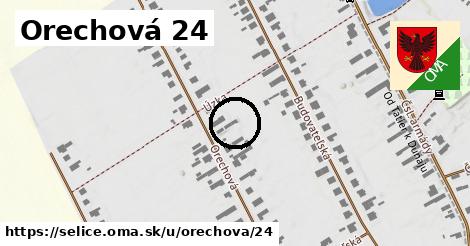 Orechová 24, Selice