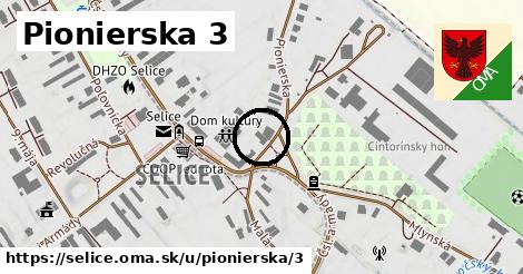 Pionierska 3, Selice