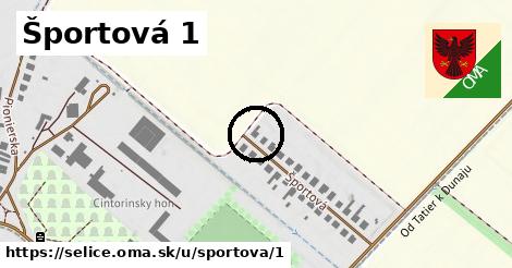 Športová 1, Selice