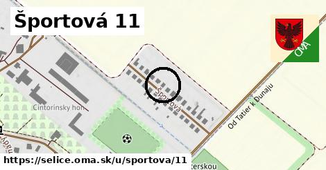 Športová 11, Selice