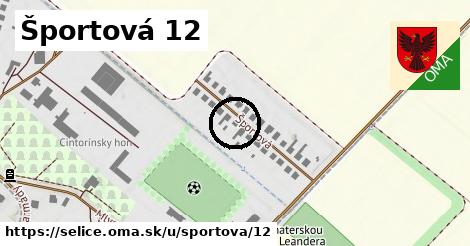 Športová 12, Selice