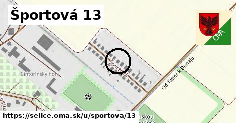 Športová 13, Selice