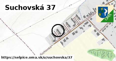 Suchovská 37, Šelpice