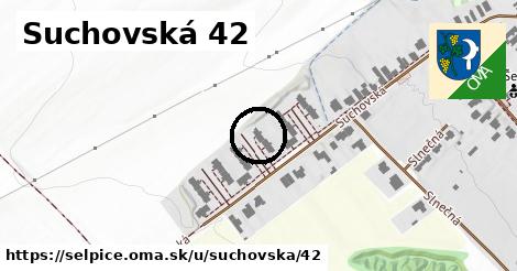 Suchovská 42, Šelpice