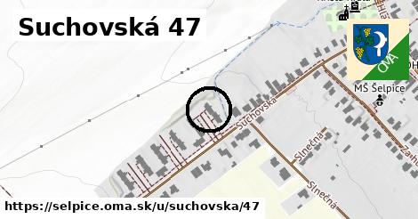 Suchovská 47, Šelpice