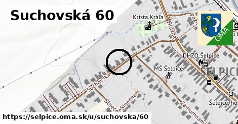Suchovská 60, Šelpice