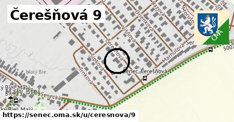 Čerešňová 9, Senec