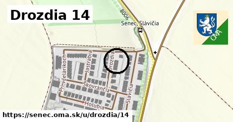 Drozdia 14, Senec