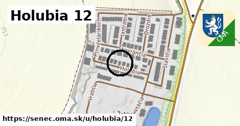 Holubia 12, Senec