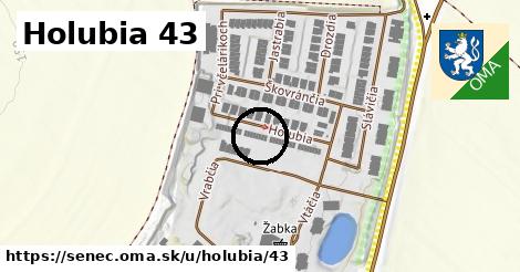 Holubia 43, Senec