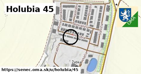 Holubia 45, Senec