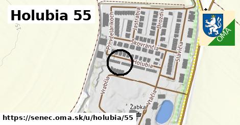 Holubia 55, Senec
