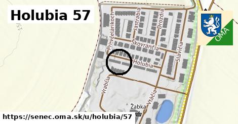Holubia 57, Senec