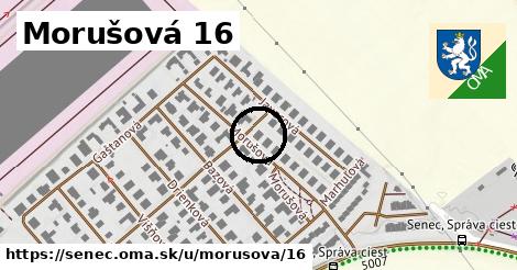 Morušová 16, Senec