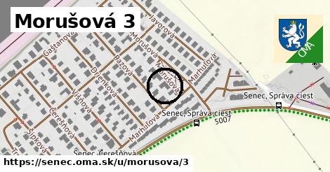 Morušová 3, Senec