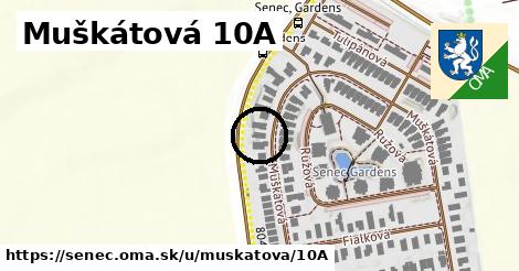 Muškátová 10A, Senec