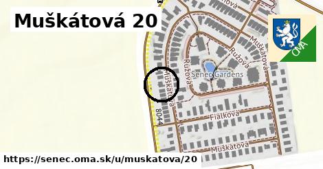 Muškátová 20, Senec