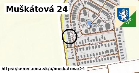 Muškátová 24, Senec