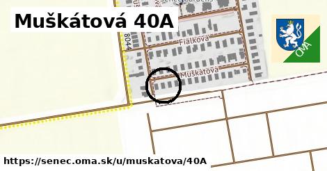 Muškátová 40A, Senec