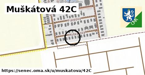 Muškátová 42C, Senec