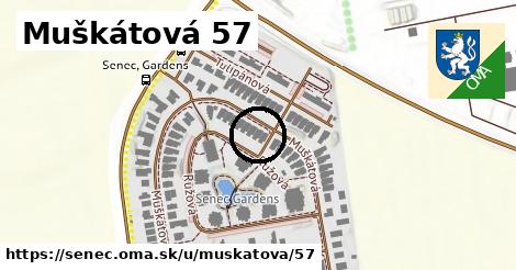 Muškátová 57, Senec