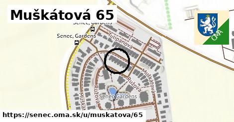 Muškátová 65, Senec