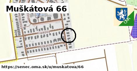 Muškátová 66, Senec