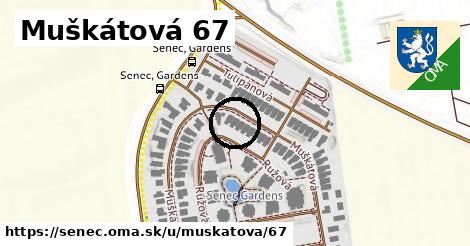 Muškátová 67, Senec
