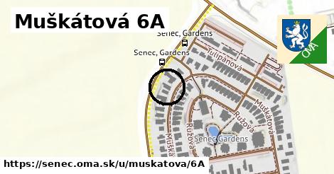 Muškátová 6A, Senec