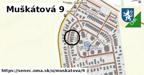 Muškátová 9, Senec