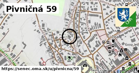 Pivničná 59, Senec