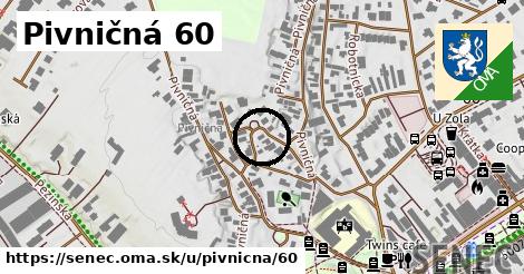 Pivničná 60, Senec