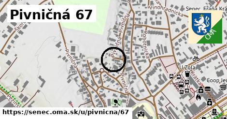 Pivničná 67, Senec