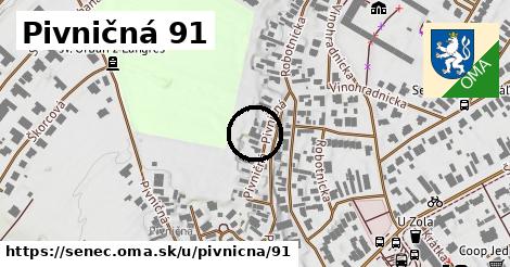 Pivničná 91, Senec