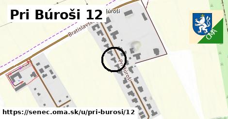 Pri Búroši 12, Senec