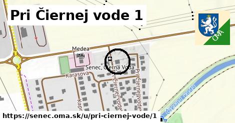 Pri Čiernej vode 1, Senec